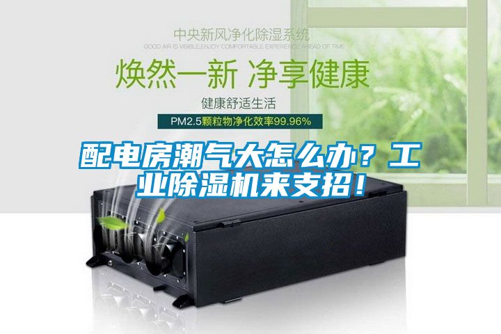 配電房潮氣大怎么辦？工業(yè)除濕機(jī)來支招！