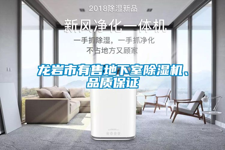 龍巖市有售地下室除濕機(jī)、品質(zhì)保證
