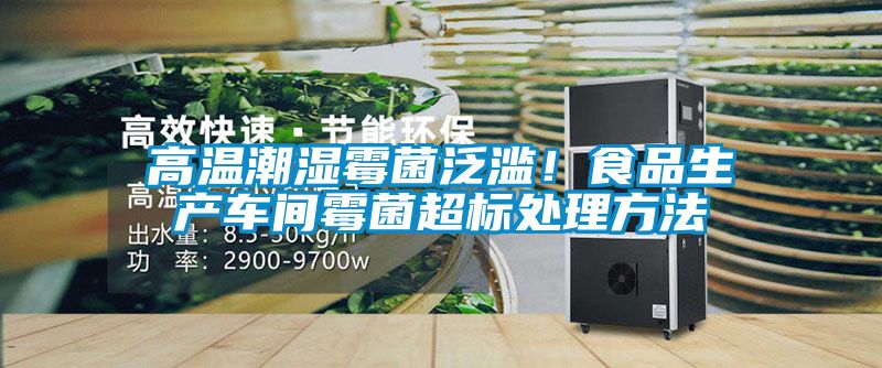 高溫潮濕霉菌泛濫！食品生產車間霉菌超標處理方法