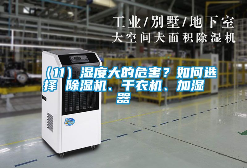 （11）濕度大的危害？如何選擇 除濕機、干衣機、加濕器